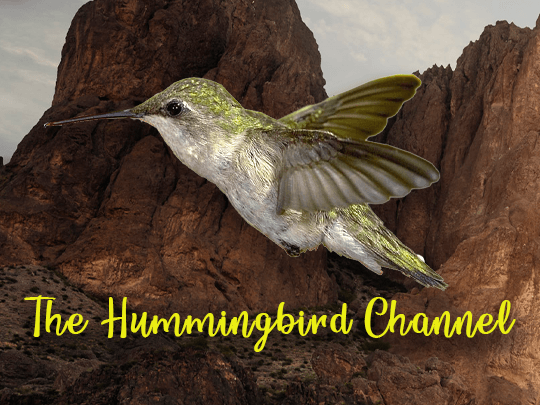 The Hummingbird Channel only on Roku